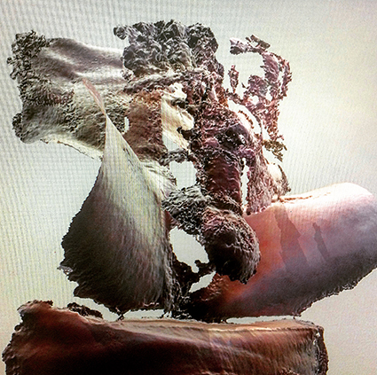 Interrupted 3D scan by artist Paul Coombs